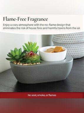 Candle Warmer Wax Melter with Faux Green Succulents